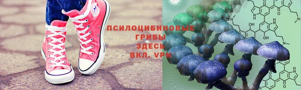 2c-b Новозыбков