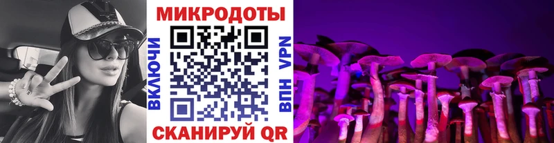 Галлюциногенные грибы Psilocybe Лянтор