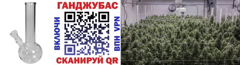 Конопля индика  Лянтор 